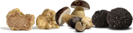 Tartusol Trufas - setas