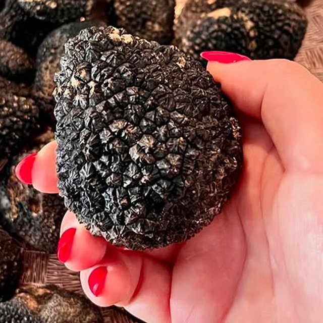 Tartusol Gourmet - Tuber Aestivum